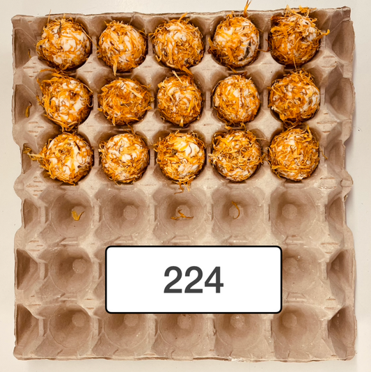 Tray of 15 Clementine & Fizz Bath Melt 40g (15 melts)